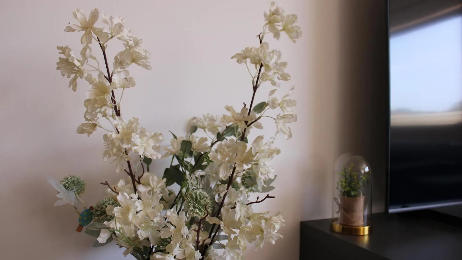 Luxury Apartment Mirjana Pula Croatia
